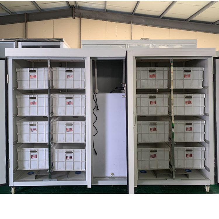 DS-500型豆芽機（日產500斤）